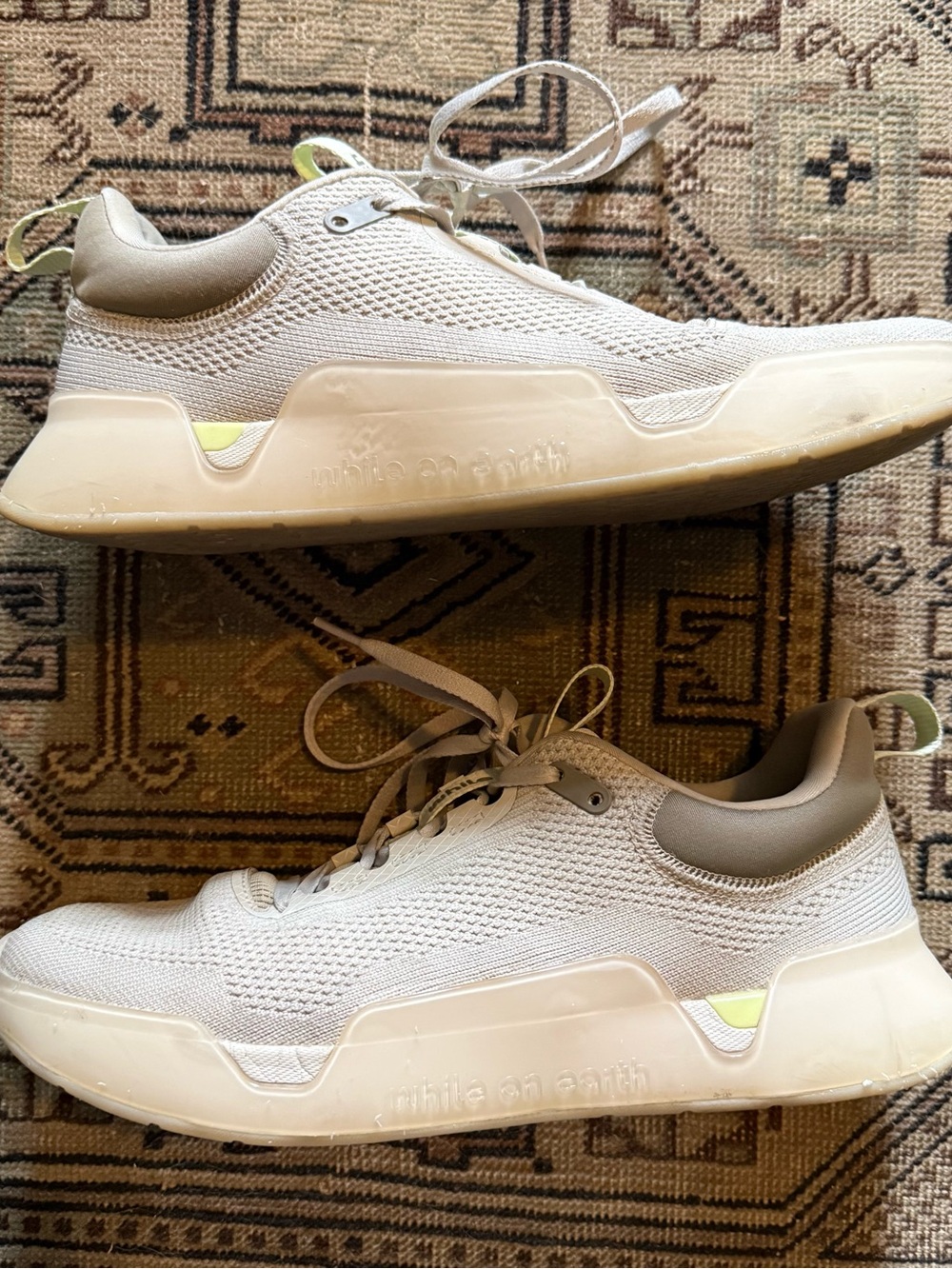 While On Earth Move Trainer View 4